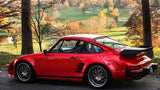 Fabspeed Porsche 911 Turbo 930 Sport Performance Package (1976-1989) (Image: 5)