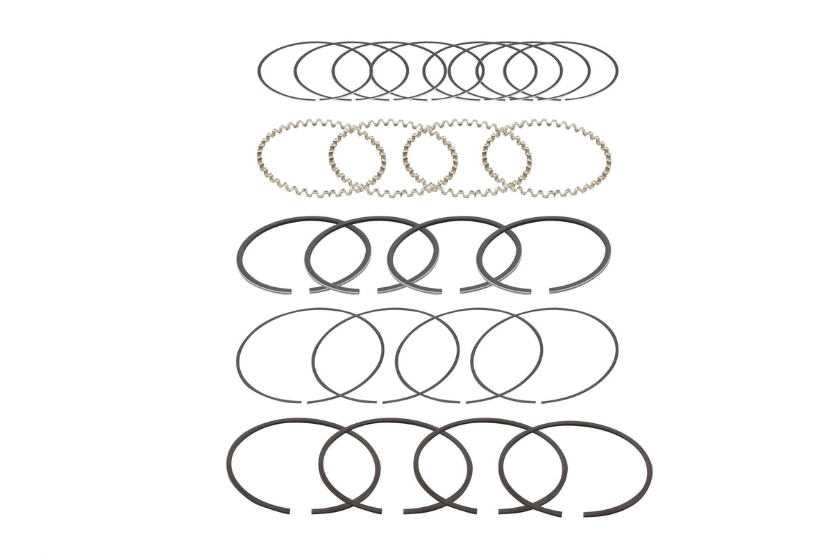 T/S Piston Ring Set, 85.5mm, 1600cc (2 X 2 X 5mm) – PMB Performance