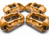 BMW 6 and 4-Piston Caliper Restoration