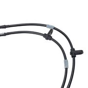 Wilwood Accord front hose tab and protective-sleeve detail