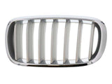 BMW X5 Front Left Bumper Grille