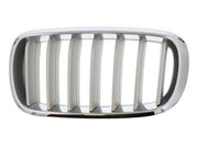 BMW X5 Front Left Bumper Grille
