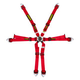 Schroth Flexi 2x2 Six-Point Racing Harness