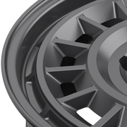 Alpen SV _ Frosted Graphite