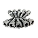 Titanium Wheel Lug Bolt Set for Lamborghini Urus