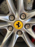 Titanium Ferrari Wheel Lug Bolts (Set of 10) product image 9