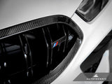 AutoTecknic Replacement Dry Carbon Grille Surround - F9X M8