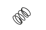 Accelerator Pump Spring Outer - Components for PMO and Weber Carburetors