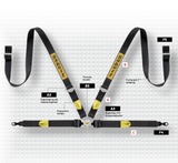 Competition Motorsport Sabelt 4 Point Harness Porsche GT3/GT4