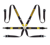 Sabelt Silver Series Enduro 6 Point Racing Harness - Porsche GT2/GT3/GT4