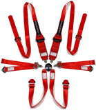 Safecraft Restraints 6 Point Racing Harness - SFI