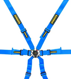 Competition Motorsport Schroth Profi 2x2 6 Point Racing Harness Porsche GT3/GT4 blue