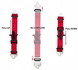 Schroth Profi II ASM 4-Point Harness product image 5