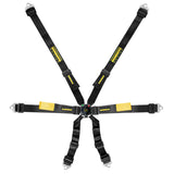 Competition Motorsport Schroth Enduro 2x2 6 Point Racing Harness black