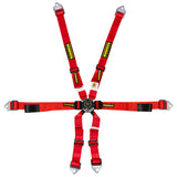 Competition Motorsport Schroth Enduro 2x2 6 Point Racing Harness red