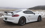 Fabspeed Porsche 981 Cayman GT4 Single-Wall Tips (Image: 4)