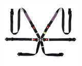 Competition Motorsport Sparco Martini Racing 6-point Harness