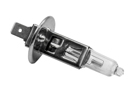 H1 12V 100W Bulb, Each