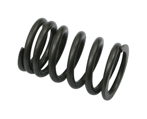 Stock Valve Spring, 1200-1600cc, Each