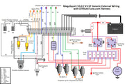 8′ MegaSquirt Wiring Harness (MS1/MS2/MS3 Ready)