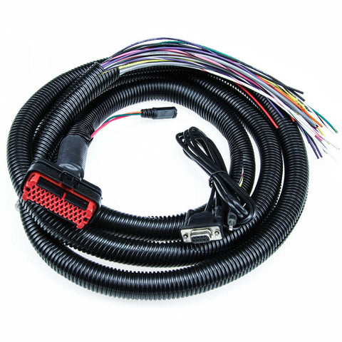 MicroSquirt Wiring Harness – 8ft